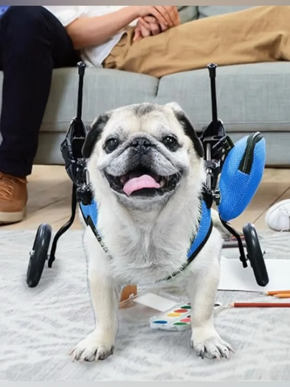 Adjustable Dog Wheelchair Harness S
